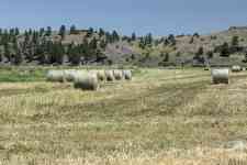 Kalispell: mountains, montana, hay